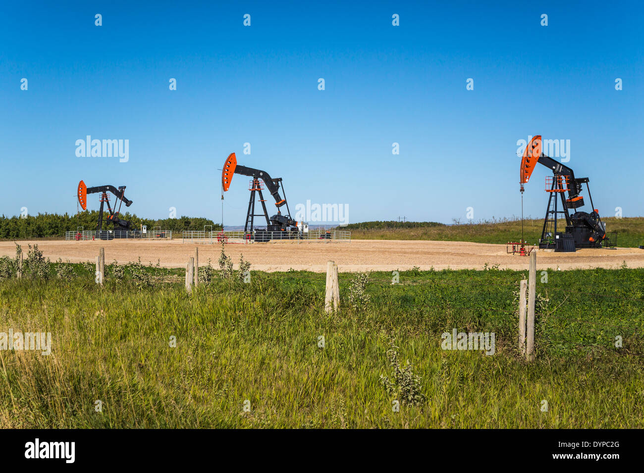 Una produzione di olio pumper nel campo Bakken, vicino a Stoughton, Saskatchewan, Canada. Foto Stock