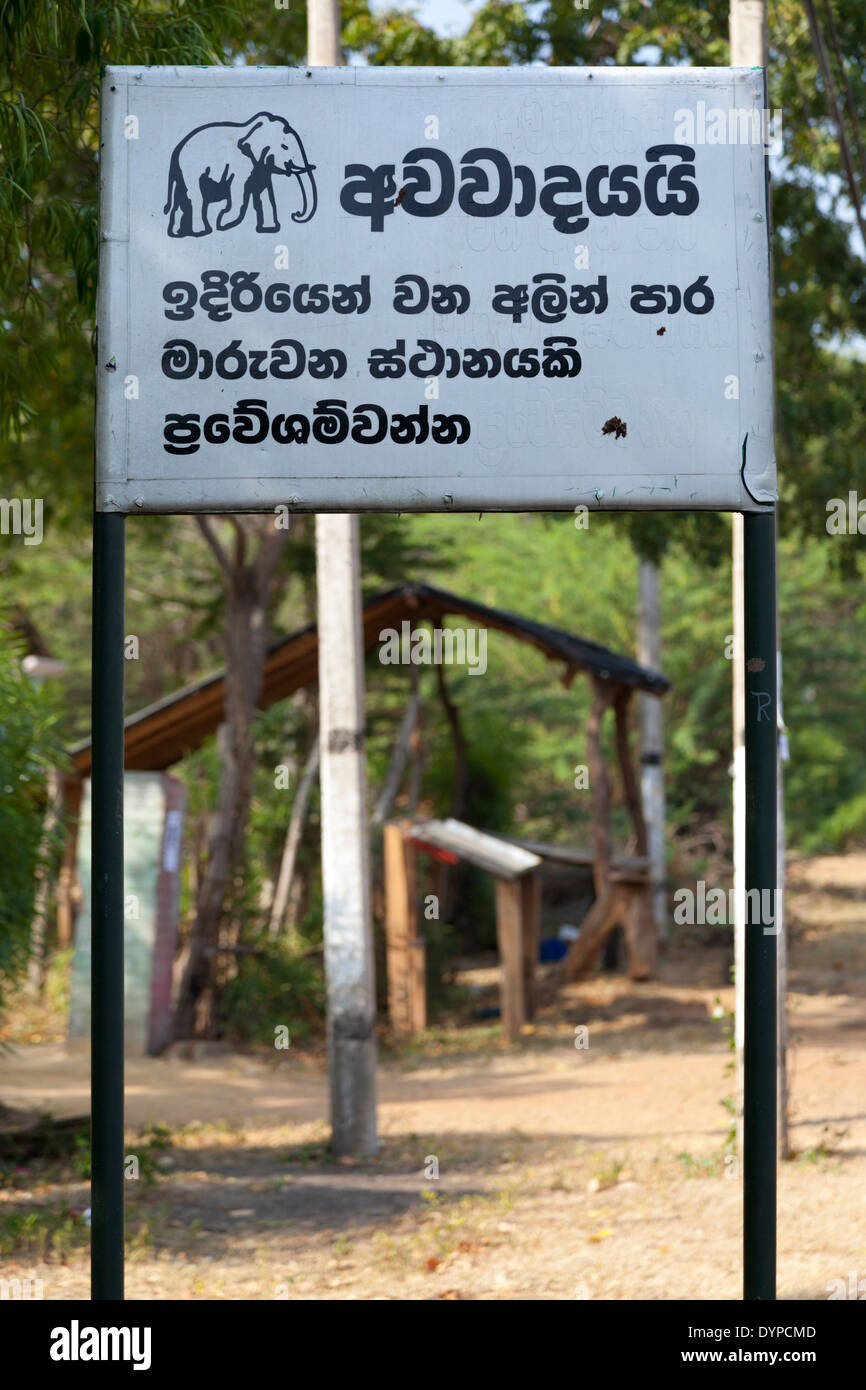Attraversamento di elefante sign in Dambulla, Sri Lanka 2 Foto Stock