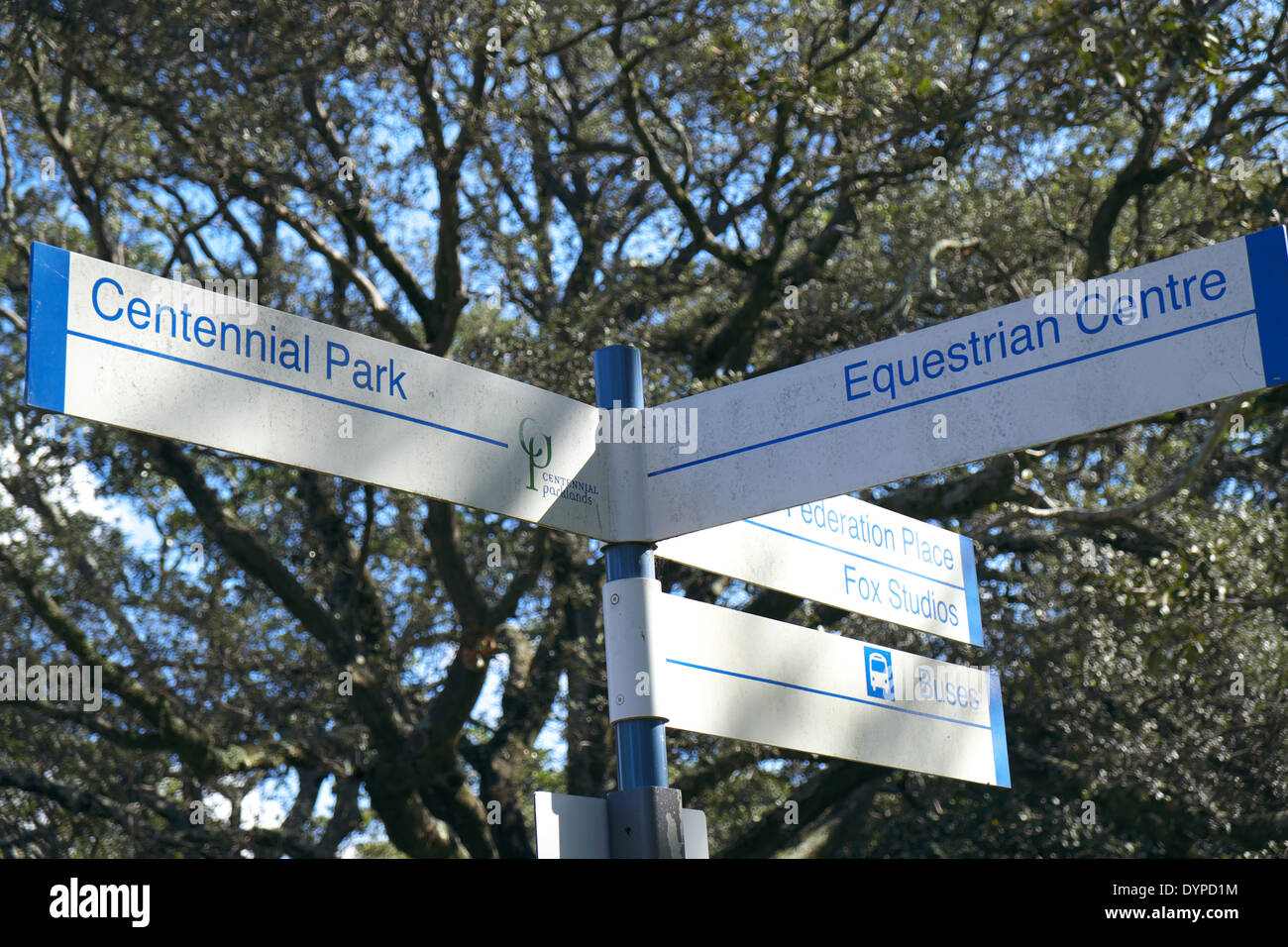 Parco Centennial Park è un parco urbano che occupa 220 ettari nella periferia est di Sydney , Australia Foto Stock