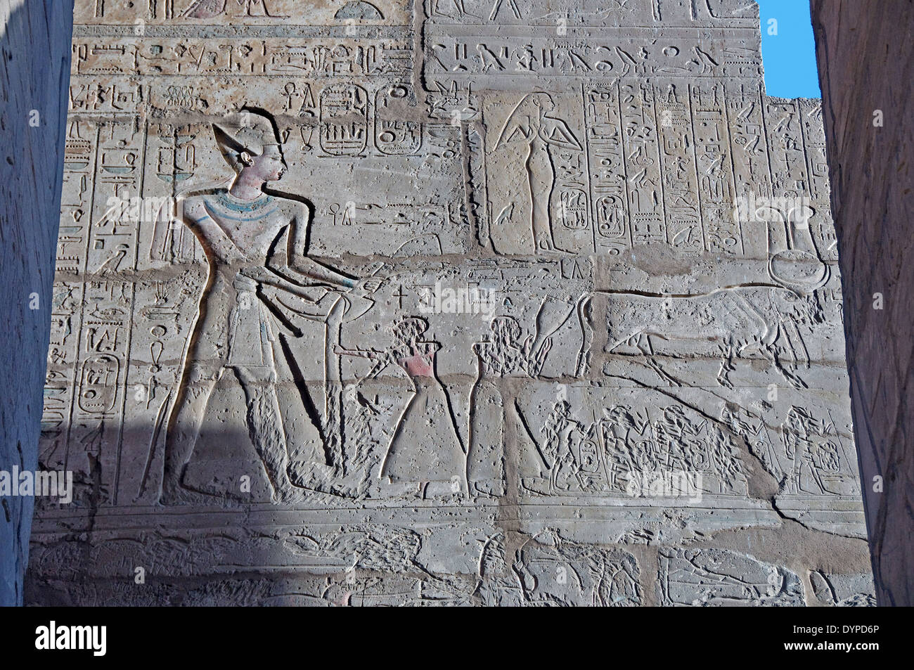 Ramesseum il tempio funerario del faraone Ramses II il Grande(1303-1213 A.C. XIX dyn.). Il re della mietitura del grano. Foto Stock