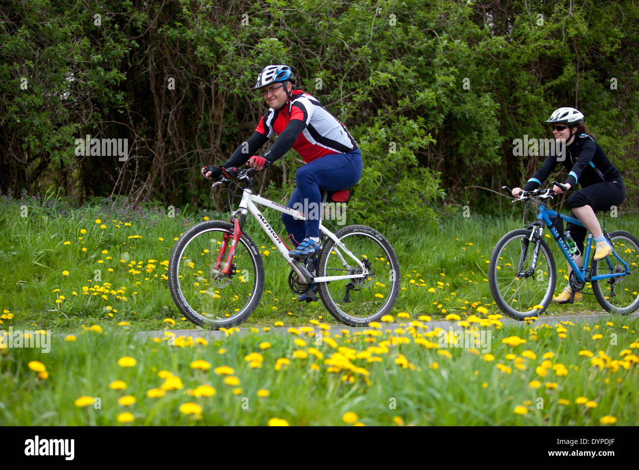 People Cycling Trail che conduce in fioritura Dandelions Path uomo donna Ride pista ciclabile percorso ciclabile primaverile natura primaverile coppia Riding Bikes ciclisti Foto Stock