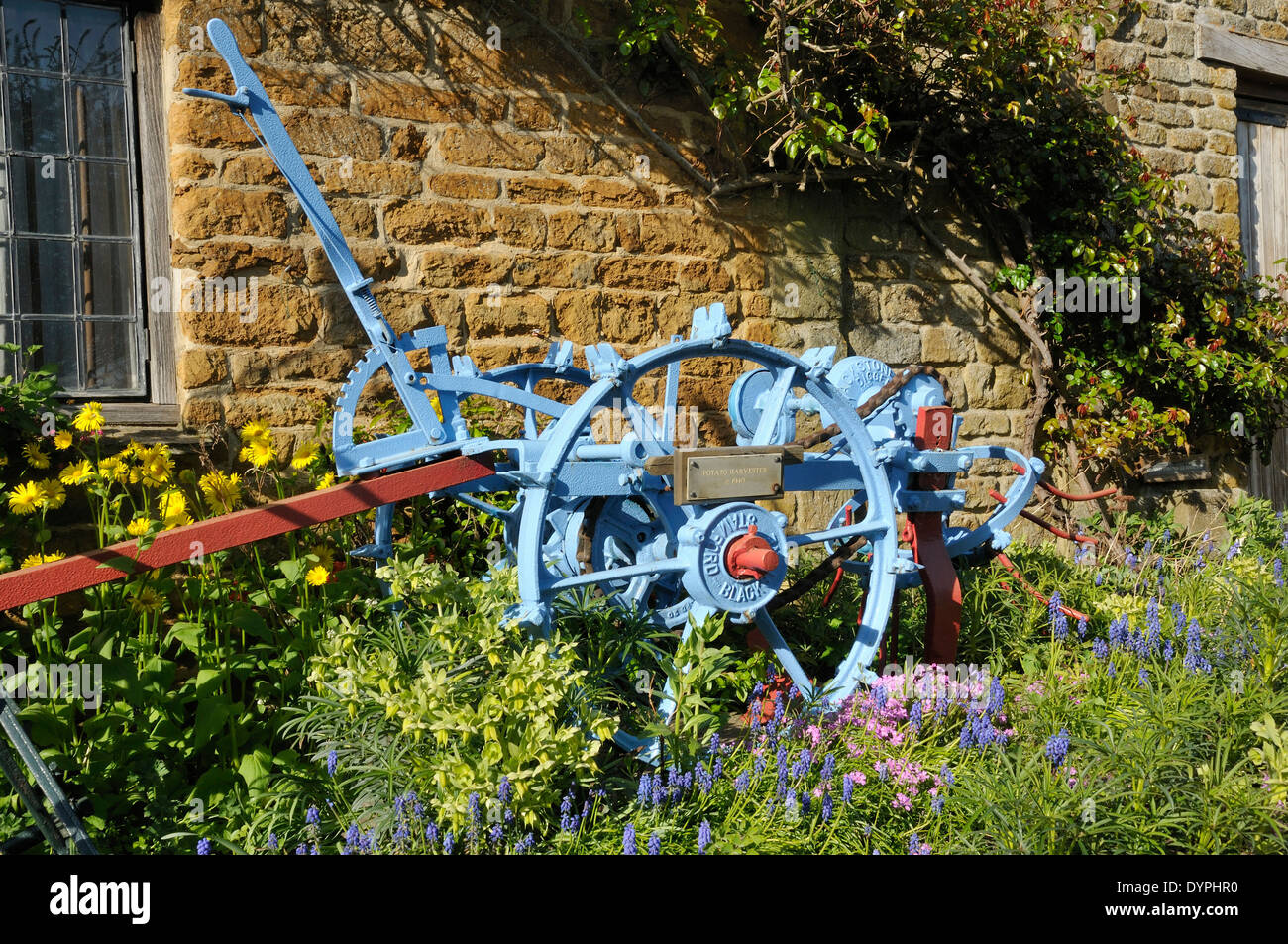 Ripristinato 1940 Stamford Blackstone Potato Harvester Foto Stock