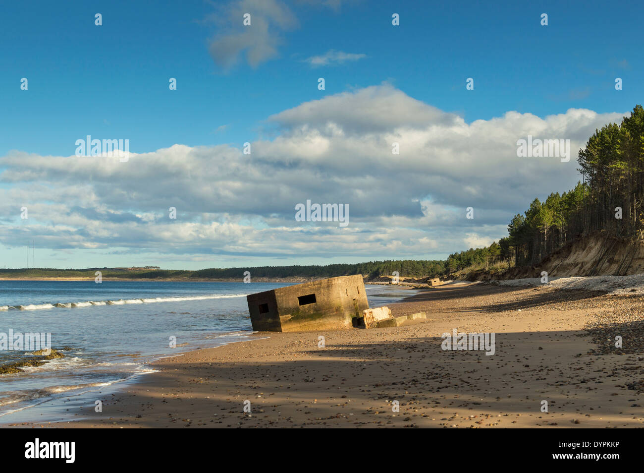 La seconda guerra mondiale le scatole della pillola abbassandosi verso il mare sulla spiaggia di FINDHORN MORAY Scozia Scotland Foto Stock