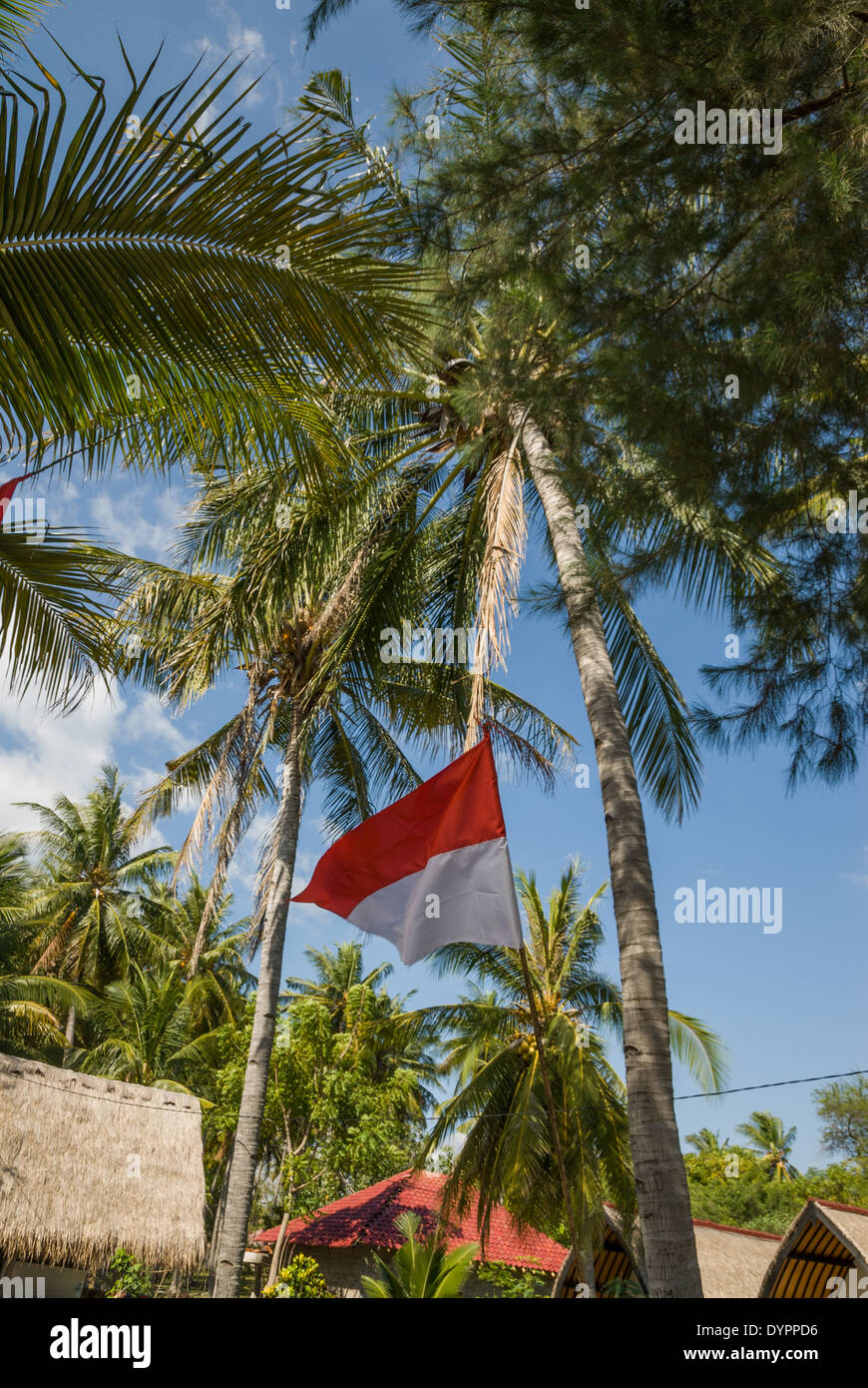 Nusa Lembongan bandiera nel mezzo di alberi in Indonesia Foto Stock