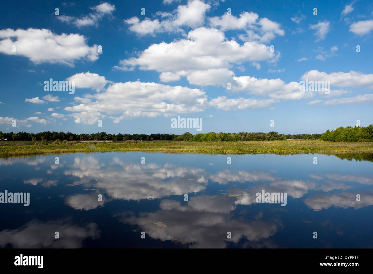 Il Cloud riflessioni a Green Cay zone umide - Boynton Beach, Florida USA Foto Stock