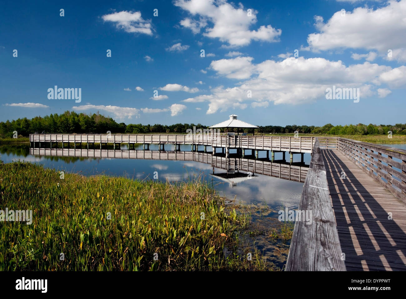 Il Boardwalk al Green Cay zone umide - Boynton Beach, Florida USA Foto Stock