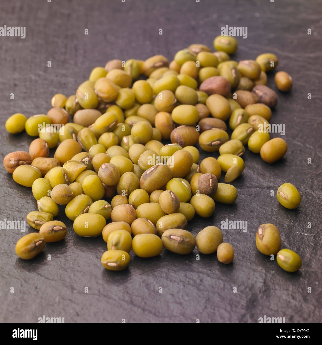 Verde fagioli mung su un sfondo di ardesia, Studio Shot Foto Stock