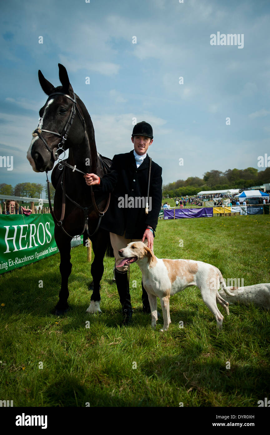 Huntsman con cavallo e cane al vecchio Berkshire Hunt da punto a punto gara incontro nel 2014 Foto Stock