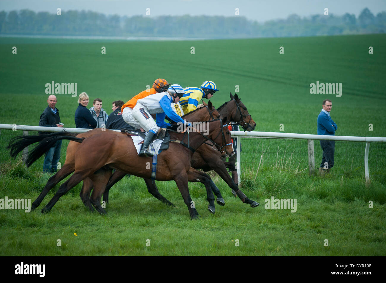 Horse Racing al punto a punto Foto Stock