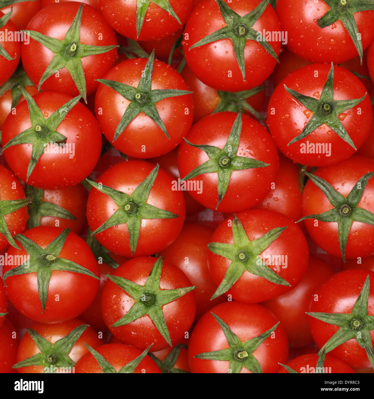 Raccolta di piccoli pomodori formando uno sfondo Foto Stock