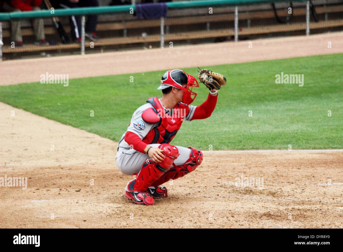 Un baseball catcher in corrispondenza della piastra Foto Stock