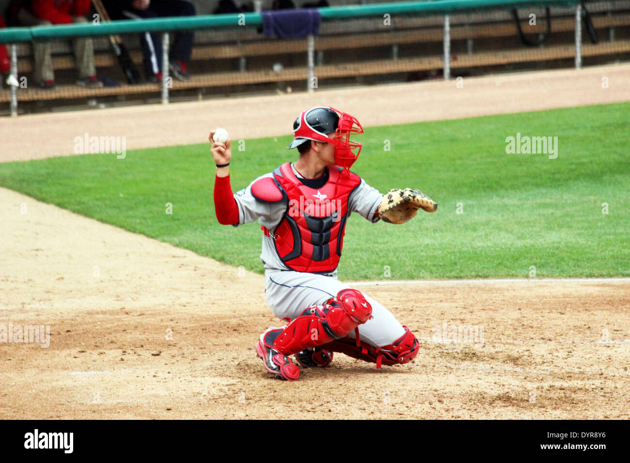 Un baseball catcher gettando un baseball torna alla brocca. Foto Stock