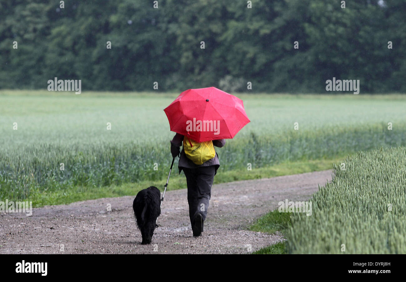 La donna a piedi sotto la pioggia nel Eichenau, 2011 Foto Stock