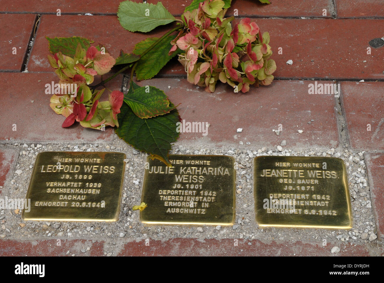 Pietre memoriale per le vittime del Nazionalsocialismo a Monaco di Baviera, 2011 Foto Stock