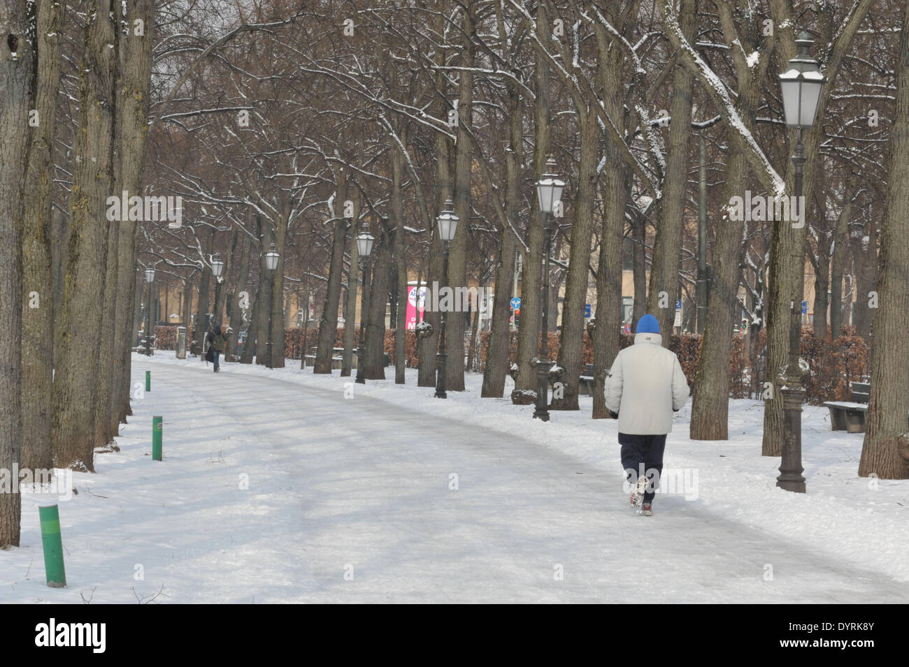 Jogging in inverno di Monaco di Baviera, 2012 Foto Stock