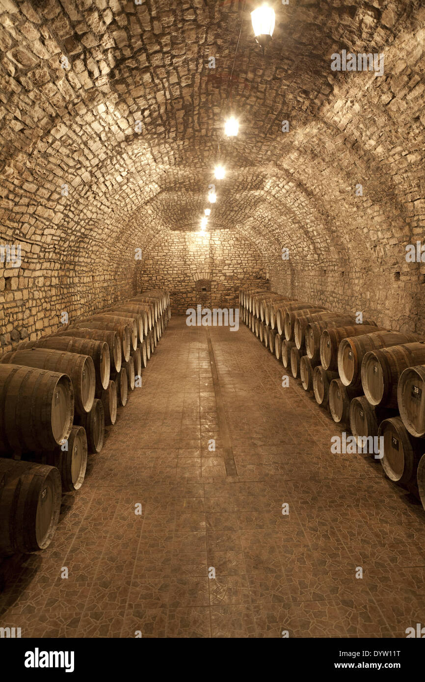 La produzione di vino in Goygol (Helenendorf), Azerbaigian Foto Stock