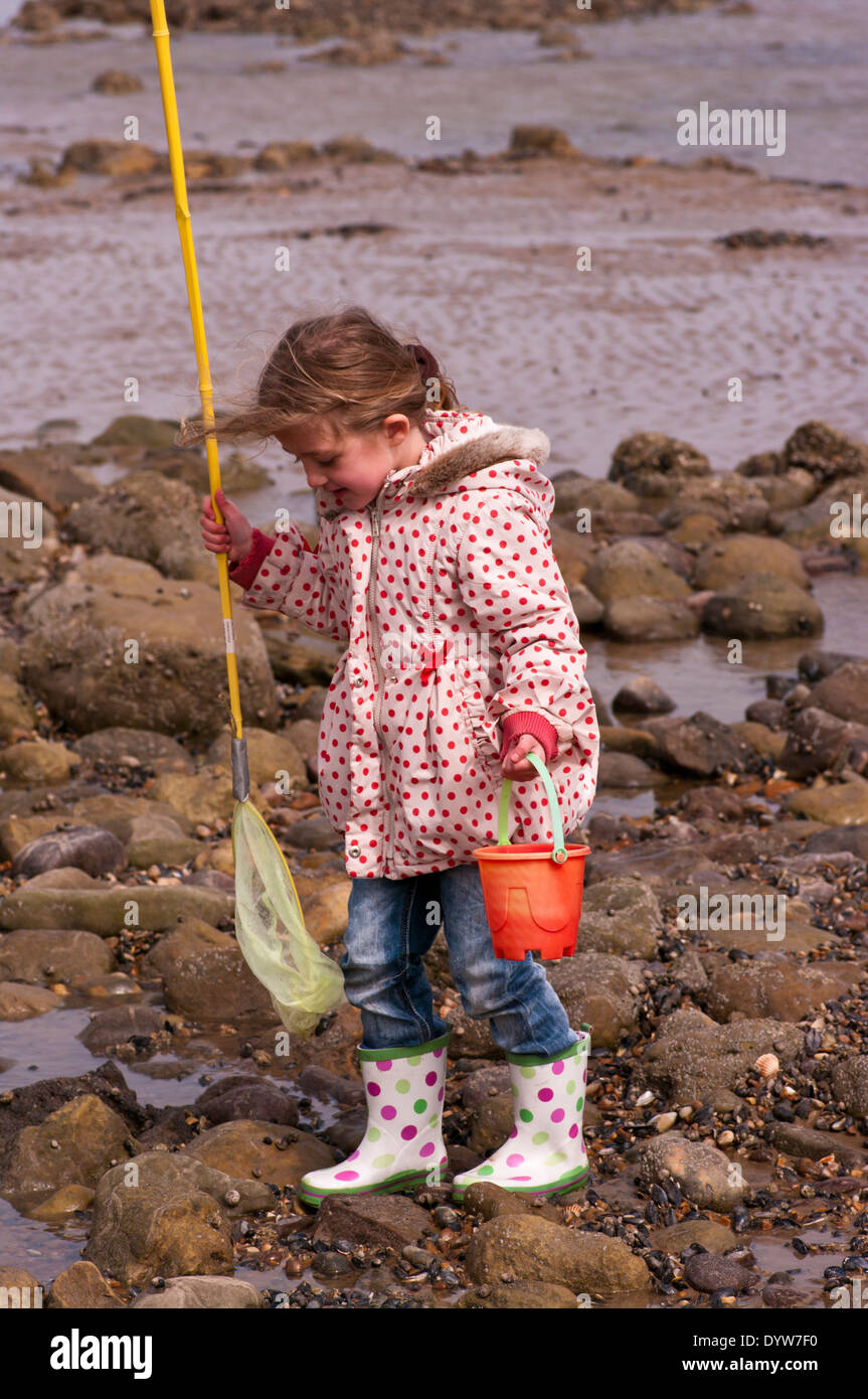 Vista frontale di un 5 anno di età del bambino Rockpools Pesca con una rete da pesca Foto Stock