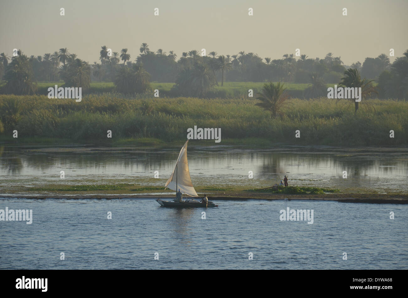 Il fiume Nilo in Egitto superiore tra Aswan e Luxor. Foto Stock