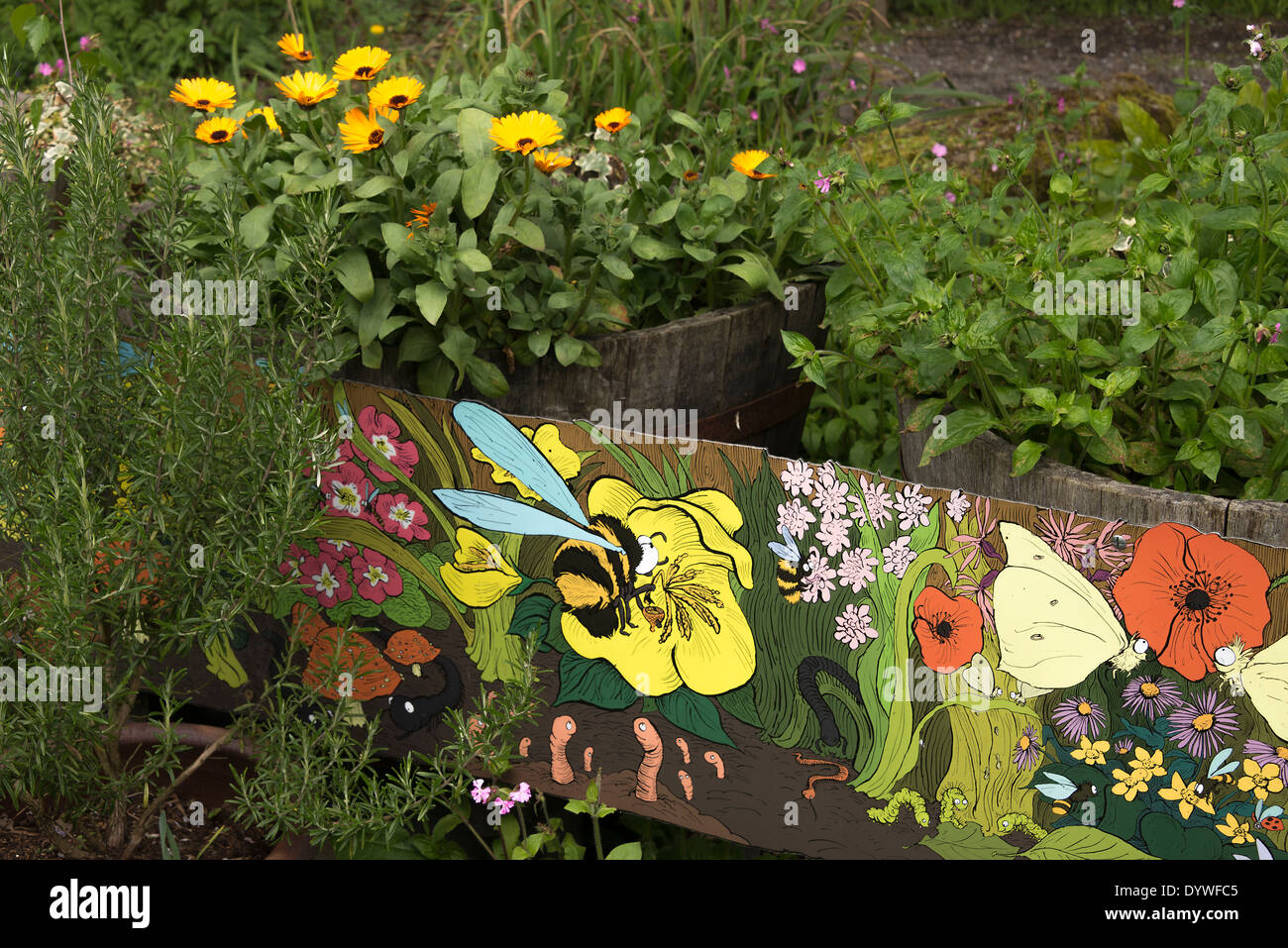 Un dipinto luminosamente trogolo di legno riempito con piante in un giardino selvaggio nella valle Dearne Yorkshire England Regno Unito Regno Unito Foto Stock