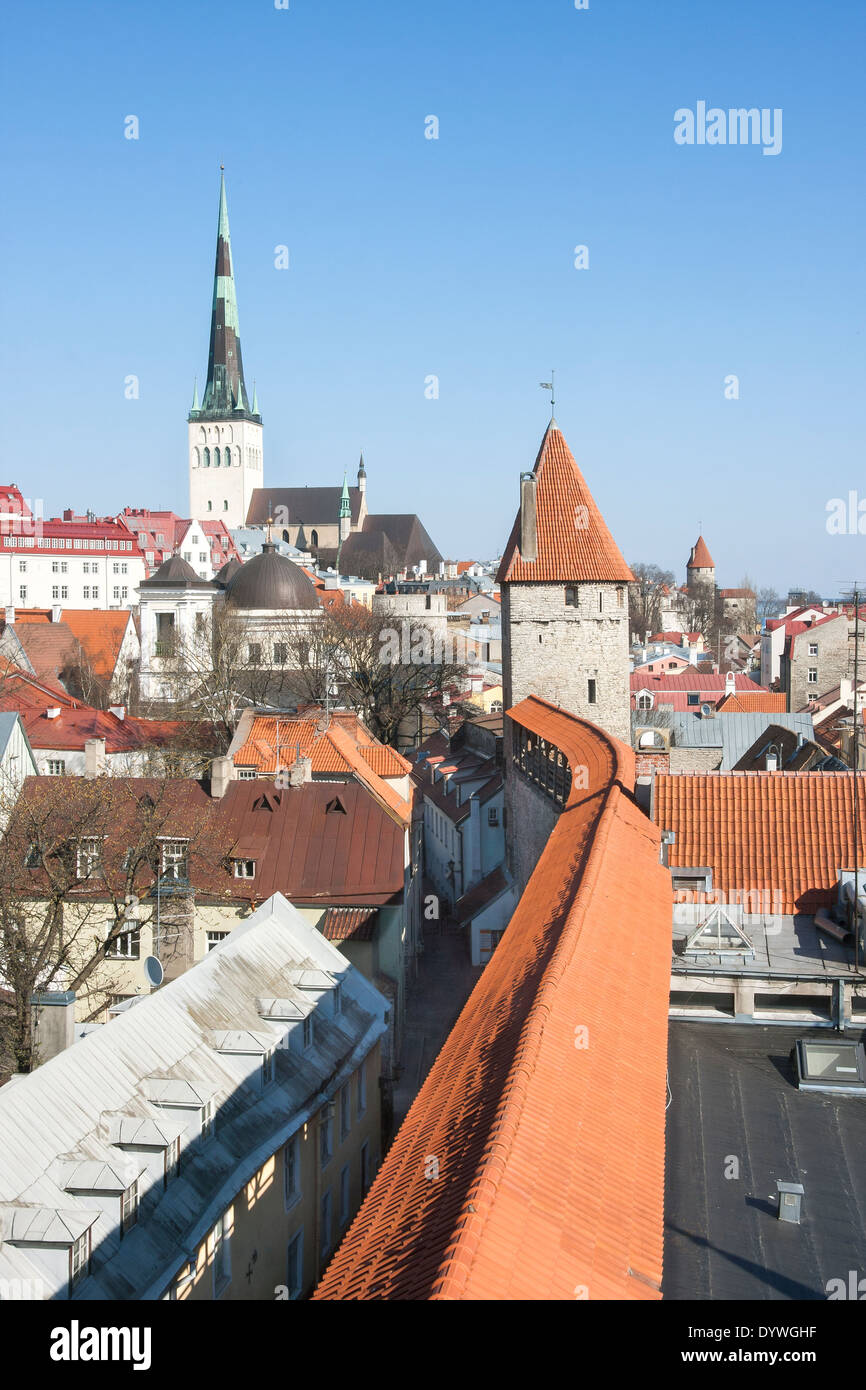 Cortina muraria della città vecchia di Tallinn, Estonia. Chiesa di San Olaf e antica Torretta cannone in background Foto Stock