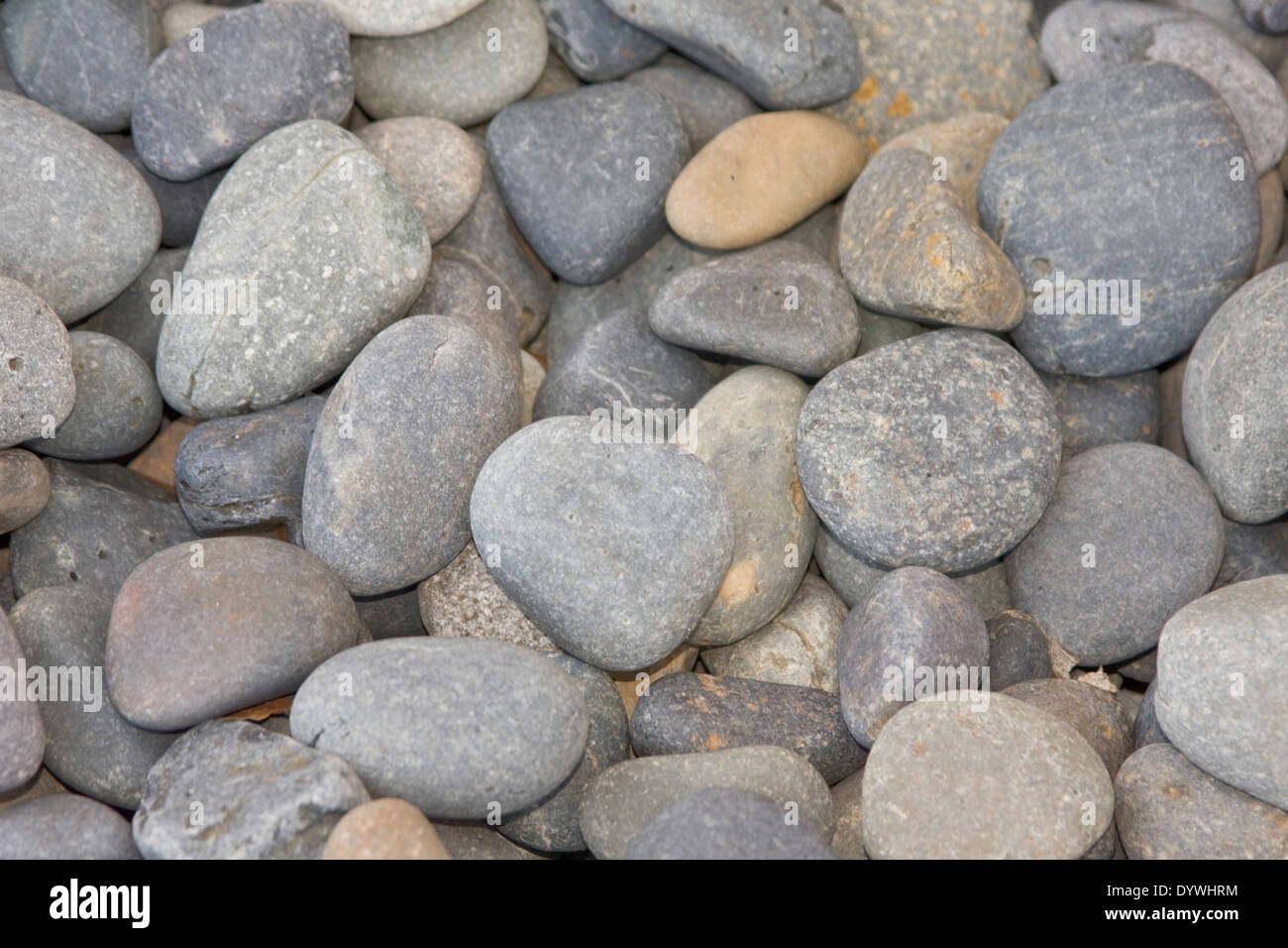 Fiume collezione di rocce Foto Stock