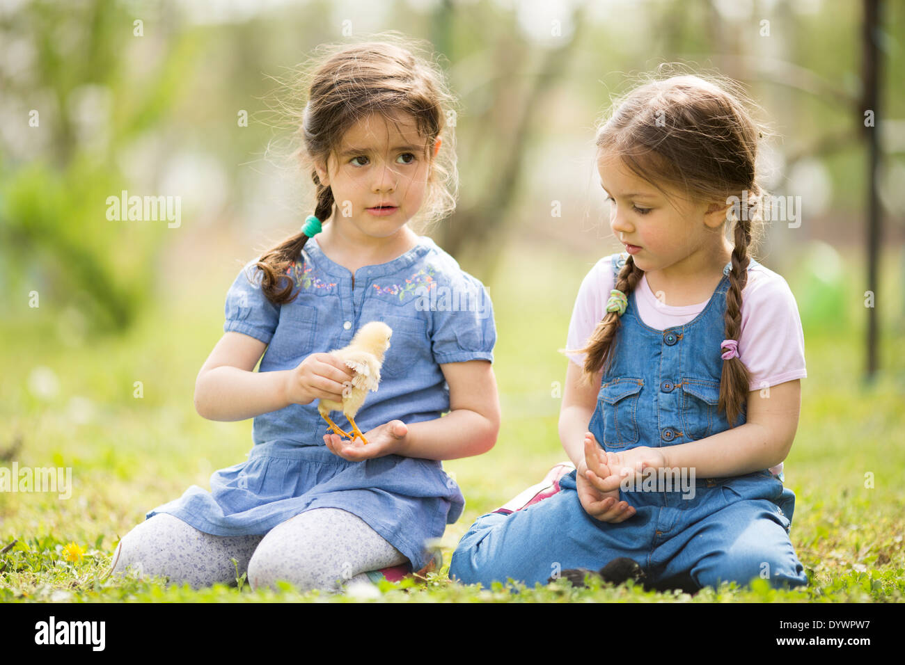 Due bambine con i polli Foto Stock