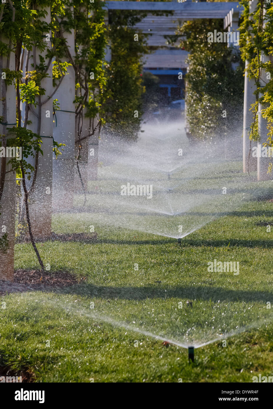 Acqua sprinkler nel parco verde in Grecia Foto Stock