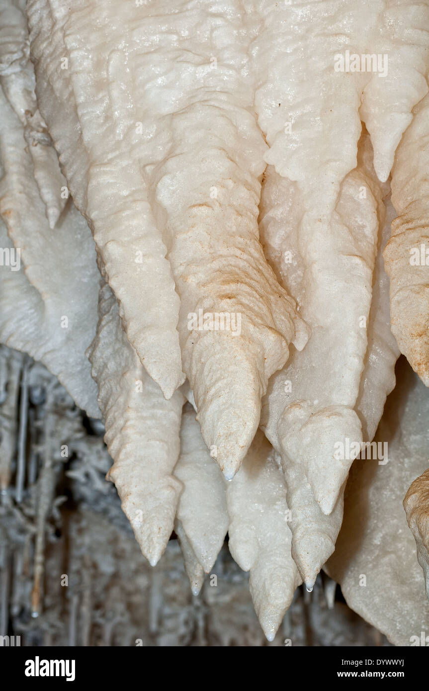 Scena verticale di stalattiti bianche che pende dal soffitto della caverna. Paese basco. Spagna. Foto Stock