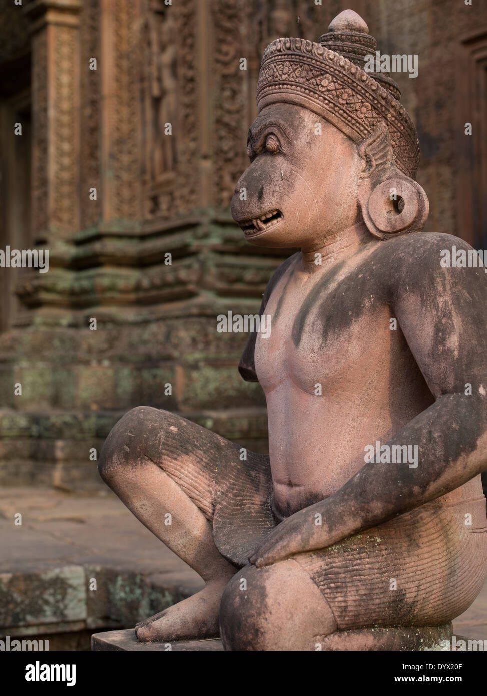 Testa di scimmia custode presso il Banteay Srei tempio indù dedicato a Shiva. Siem Reap, Cambogia Foto Stock