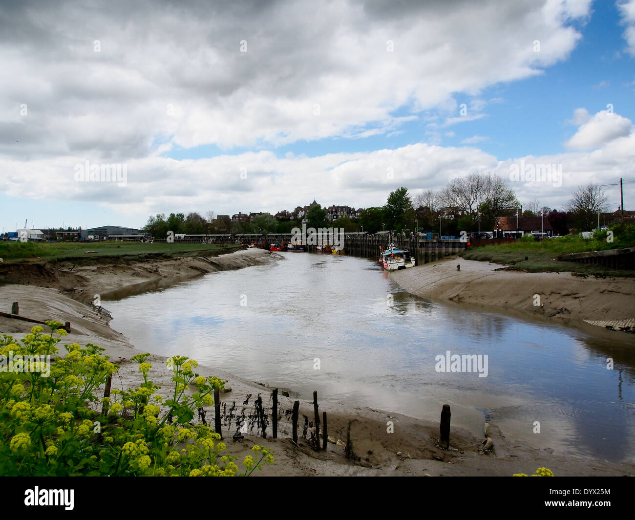 Una vista del porto di segale in Sussex Foto Stock