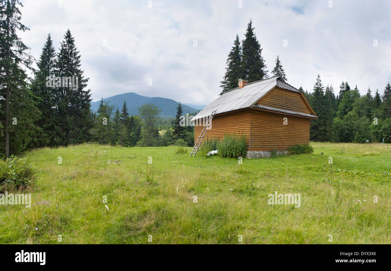 Svuotare lodge nel bosco selvatico nelle montagne dei Carpazi Foto Stock