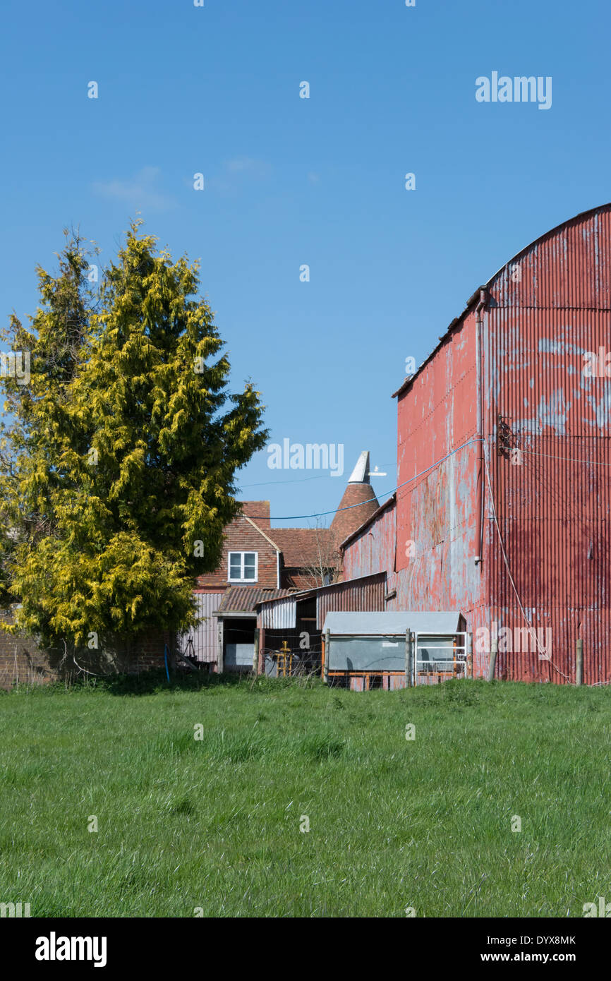 Vista del luppolo in fattoria con oast case e fienili e annessi vicino a Lamberhurst nel Kent. Foto Stock