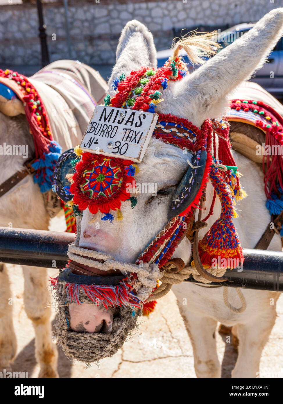 Donkey Taxi a Mijas Costa del Sol, provincia di Malaga, Andalusia, Spagna. Foto Stock