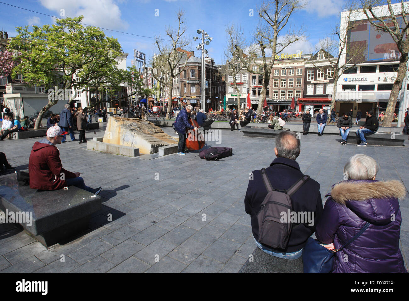 Un musicista di strada suona un violoncello a Rembrandt Plein in Amsterdam, Paesi Bassi. Foto Stock