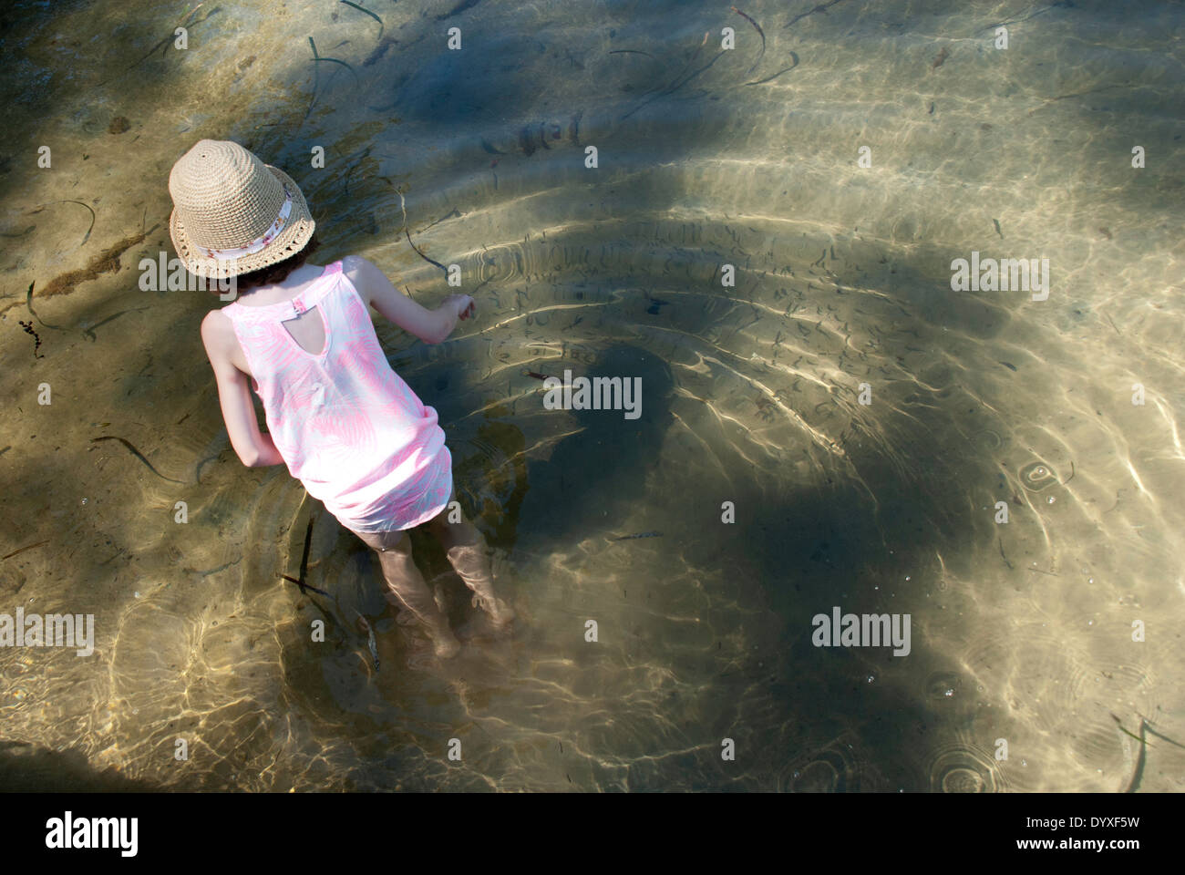 Una giovane ragazza wading in acqua con piccoli pesci in Scozia Isola, Pittwater, Sydney, Australia Foto Stock