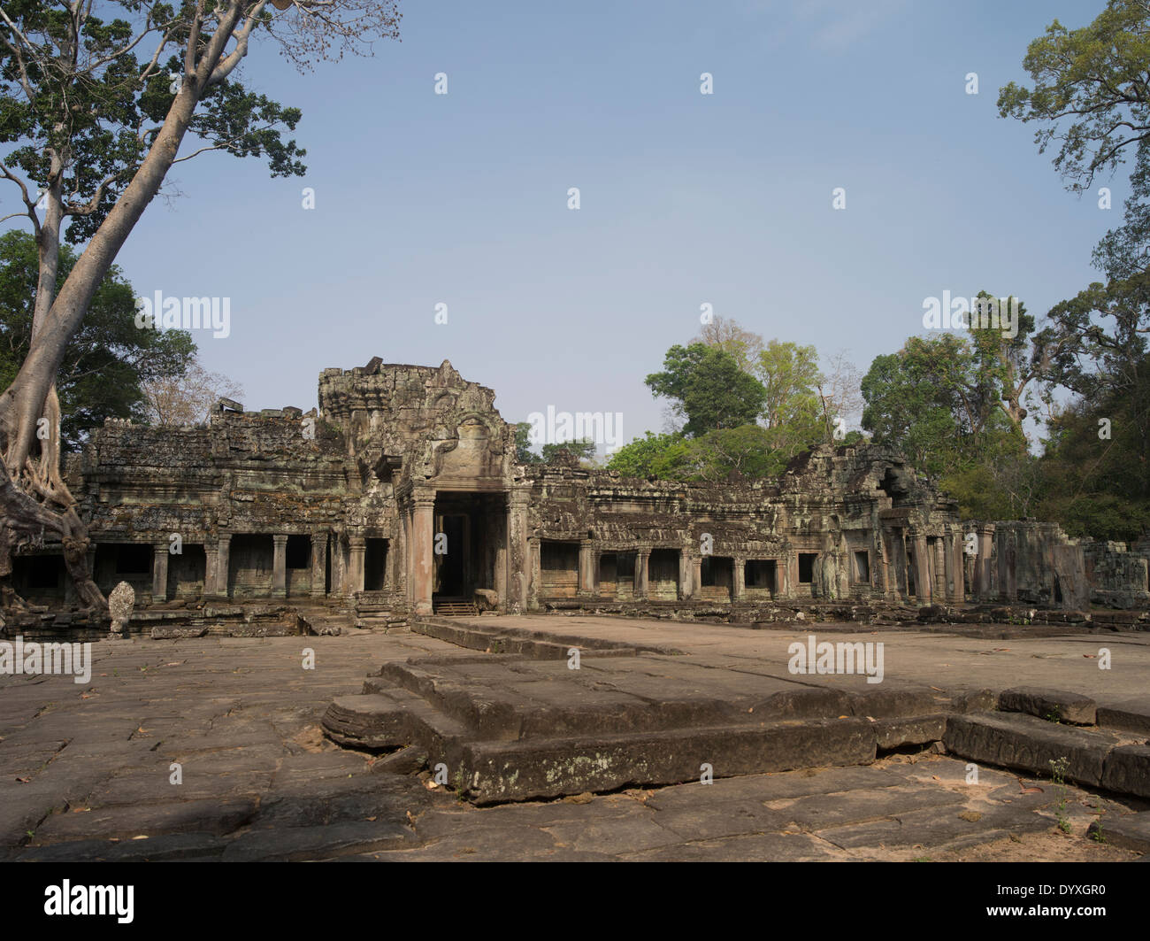 Preah Khan Temple, Siem Reap, Cambogia Foto Stock