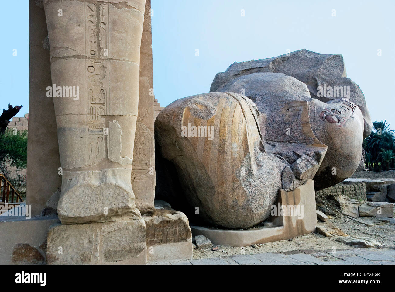 Vista verso est del Ramesseum . Colossale testa di granito di Ramses II° Foto Stock