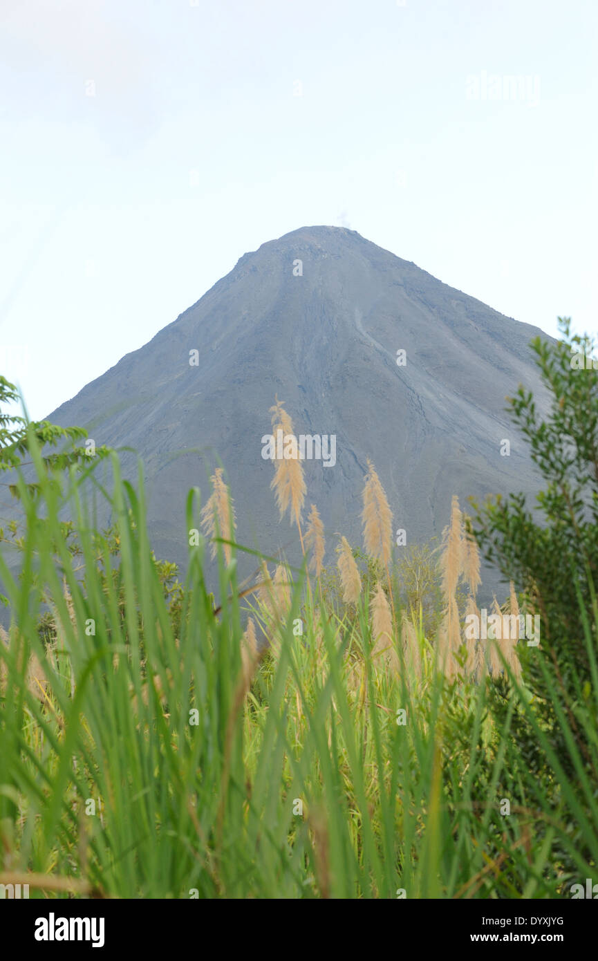 Volcán Arenal. Arenal Volcano National Park Parque Nacional Volcán Arenal La Fortuna, San Carlos, Alajuela in Costa Rica. 20Nov14 Foto Stock