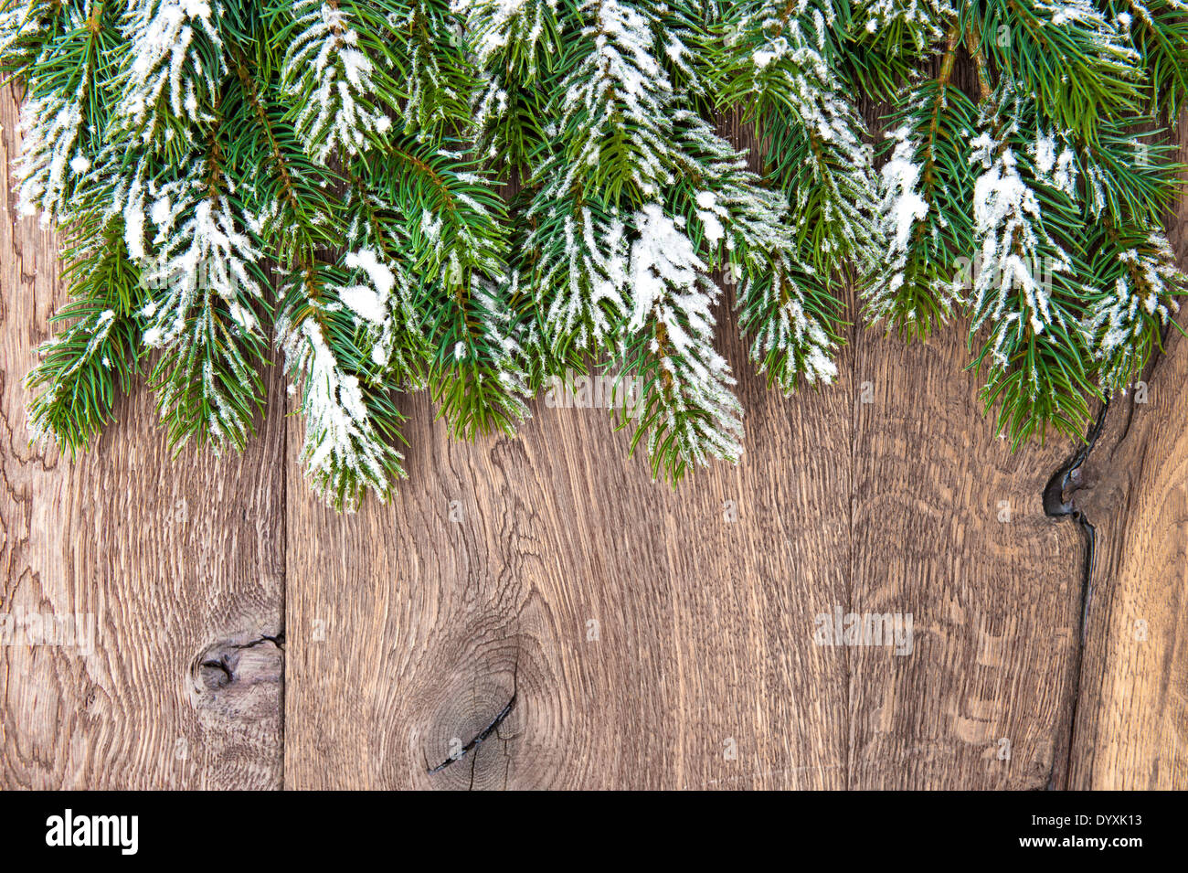 Albero di natale rami su sfondo di legno. bordo verde da non decorato evergreen ramoscelli su sfondo rustick Foto Stock