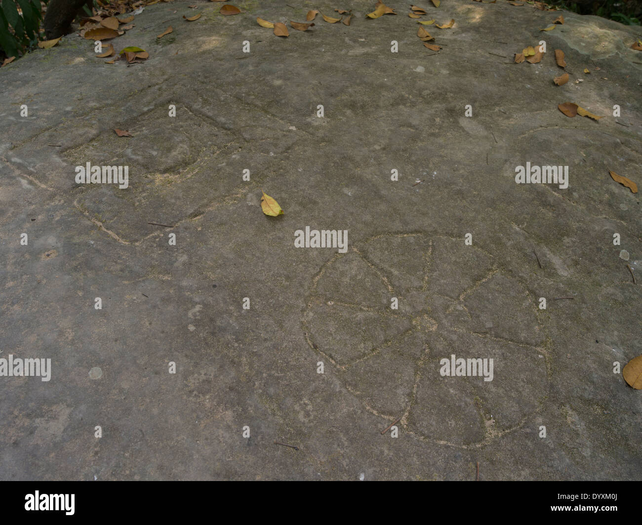 Lingam Carving. Il Kbal Spean intagli in alveo a nord-est di Angkor. Siem Reap, Cambogia Foto Stock