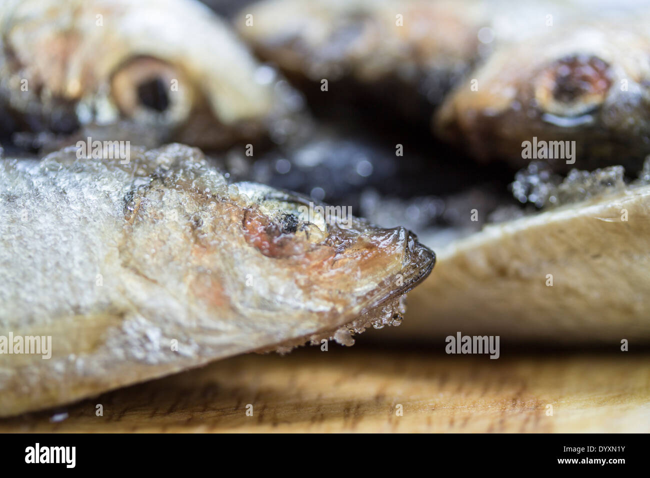 Close up macro di 3 argento pesci colorati coperti in cristalli di ghiaccio, ciascuna mostrante la testa e gli occhi solo. Due sfocate, uno di pesce a fuoco Foto Stock