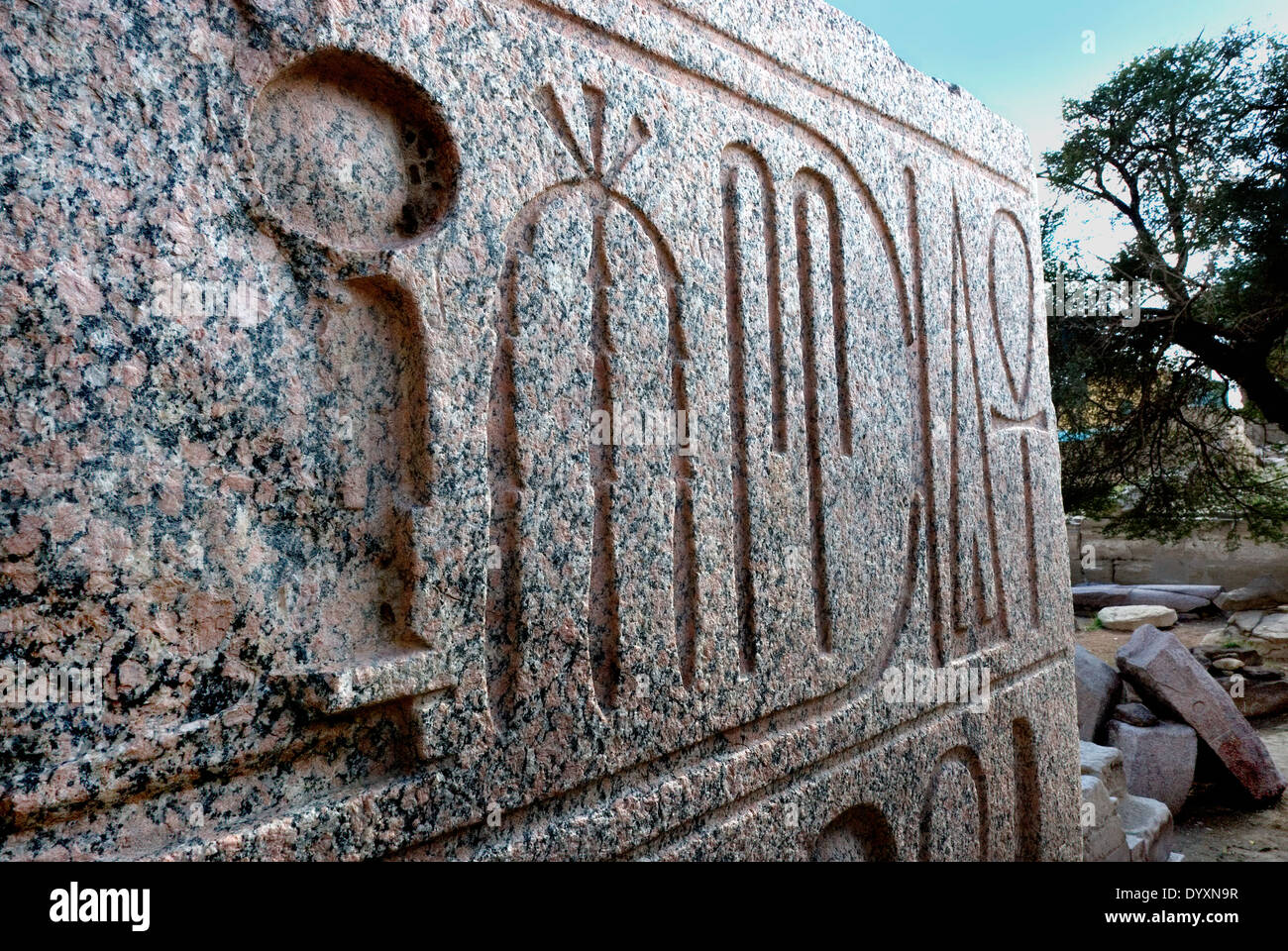 Ramesseum : il tempio funerario del faraone Ramses II il Grande(1303-1213 A.C. XIX dyn.). Foto Stock