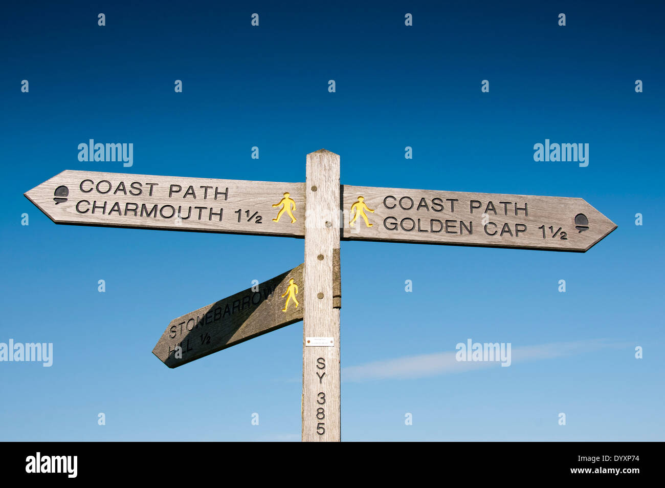 South West Coast Path segno posto a dare indicazioni al Golden Cap, Charmouth e Stonebarrow Hill, Dorset Foto Stock