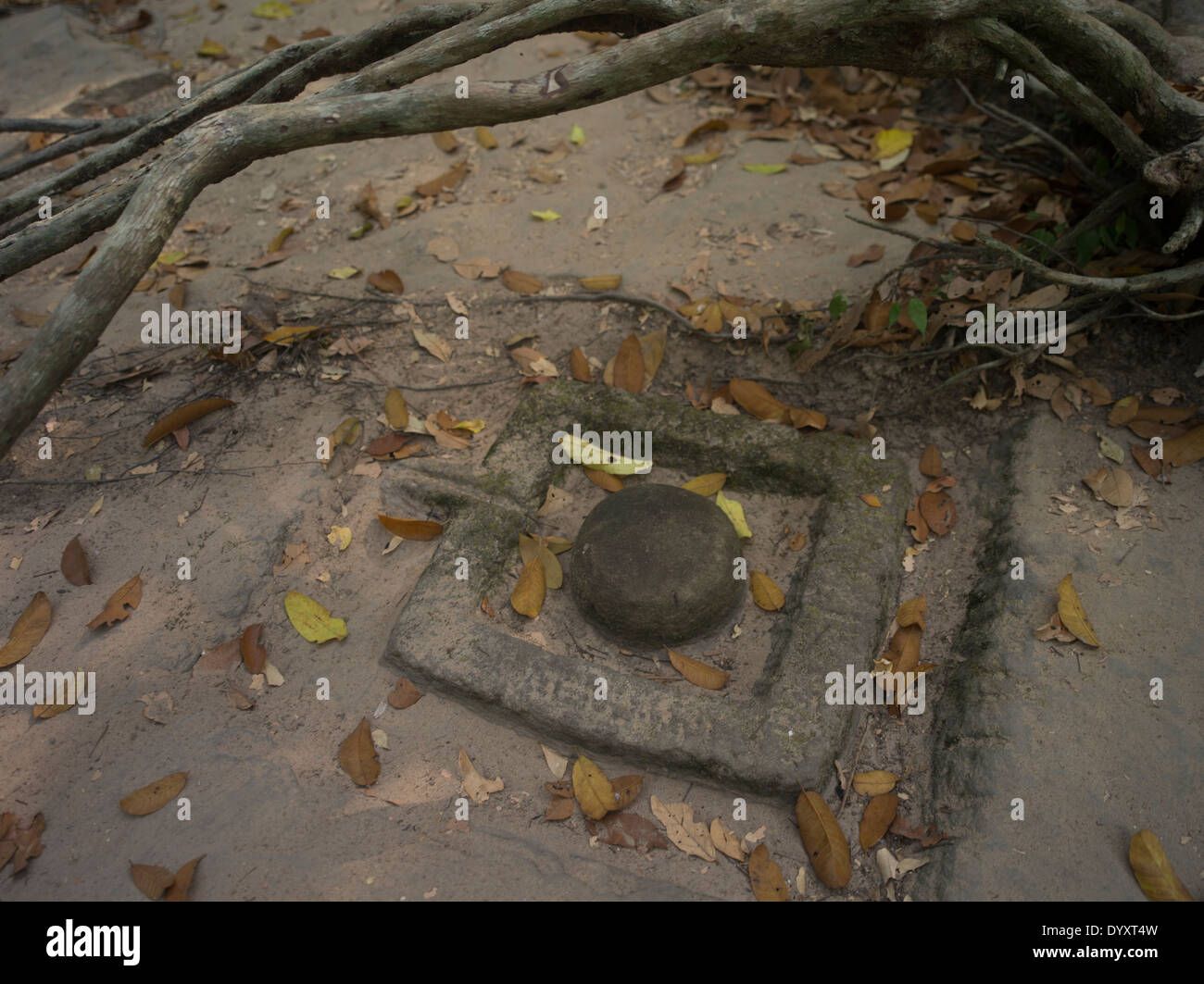 Lingam Carving. Il Kbal Spean intagli in alveo a nord-est di Angkor. Siem Reap, Cambogia Foto Stock