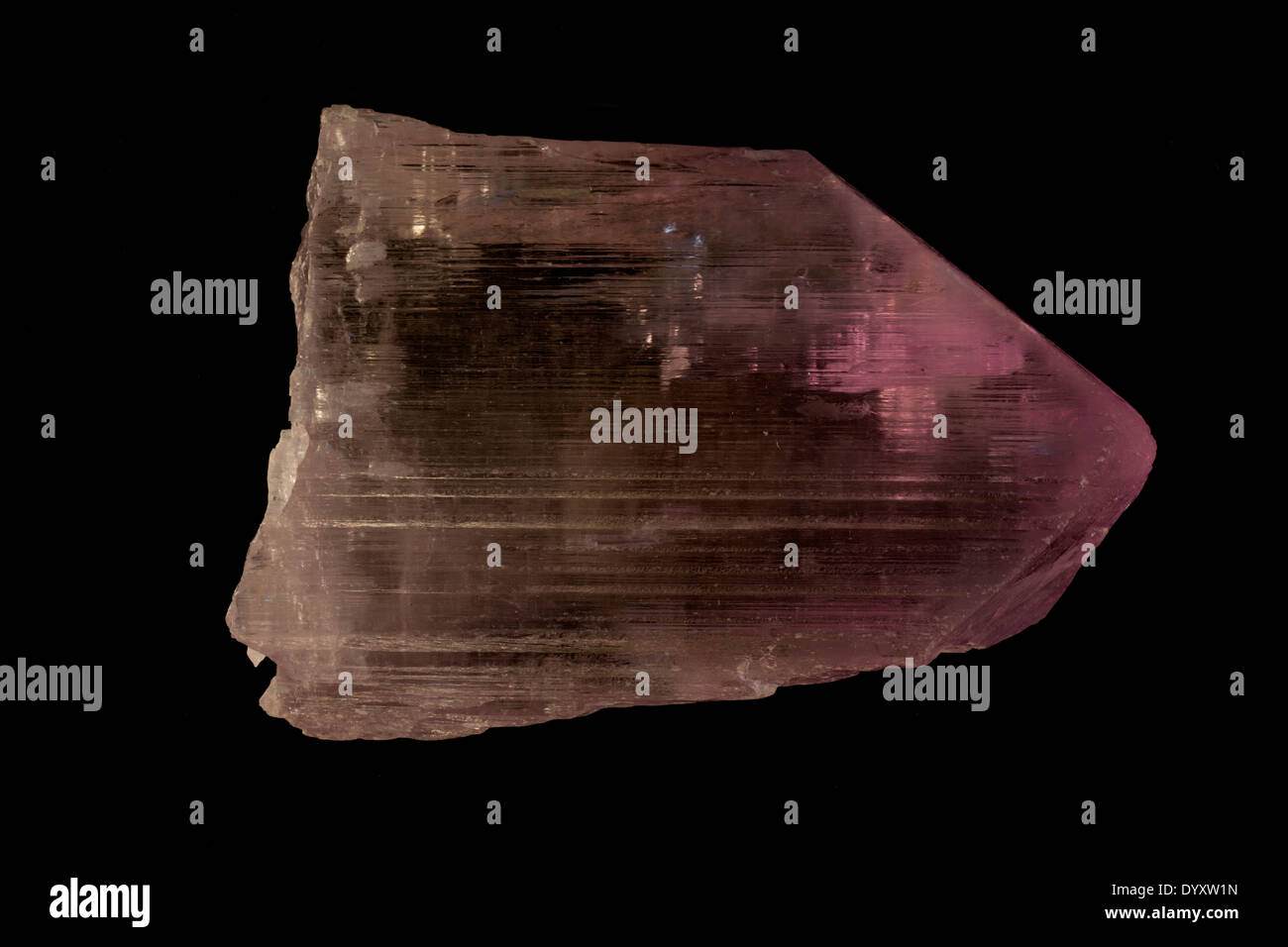 Spodumene, varietà kunzite, LiAl(SiO3)2, il minerale di litio, il Pakistan, il campione la cortesia di Marcus/Haskins Foto Stock