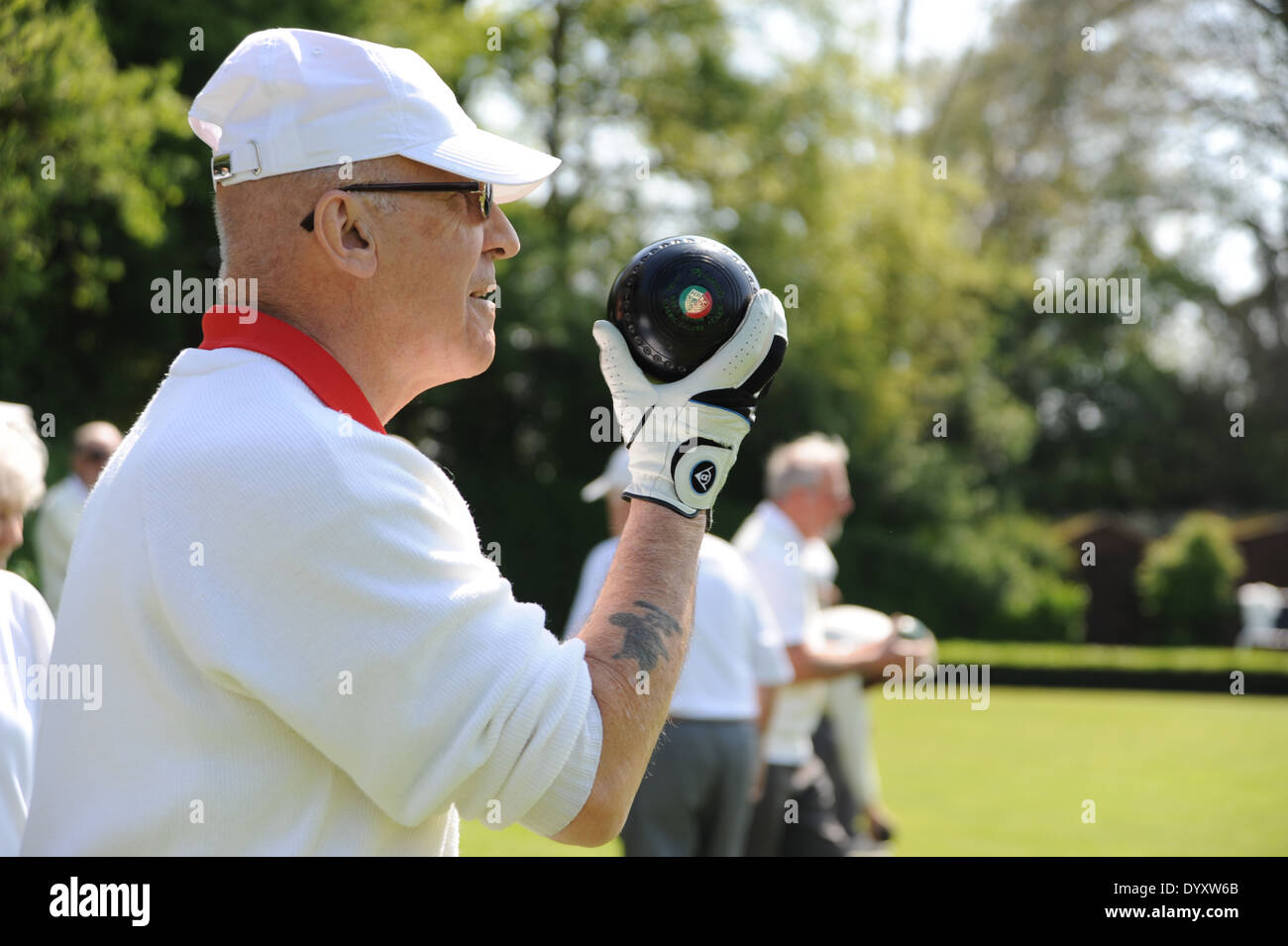 Membri giocando a bocce a Hollingbury Park Bowling Club a Brighton Regno Unito membro maschile azienda legno bowling Foto Stock