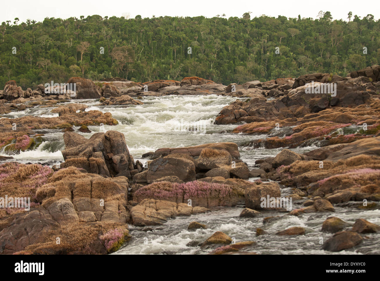 Sullo Xingu, Para Stato, Brasile. La Volta Grande; Jericoá cascata cachoeira. Foto Stock