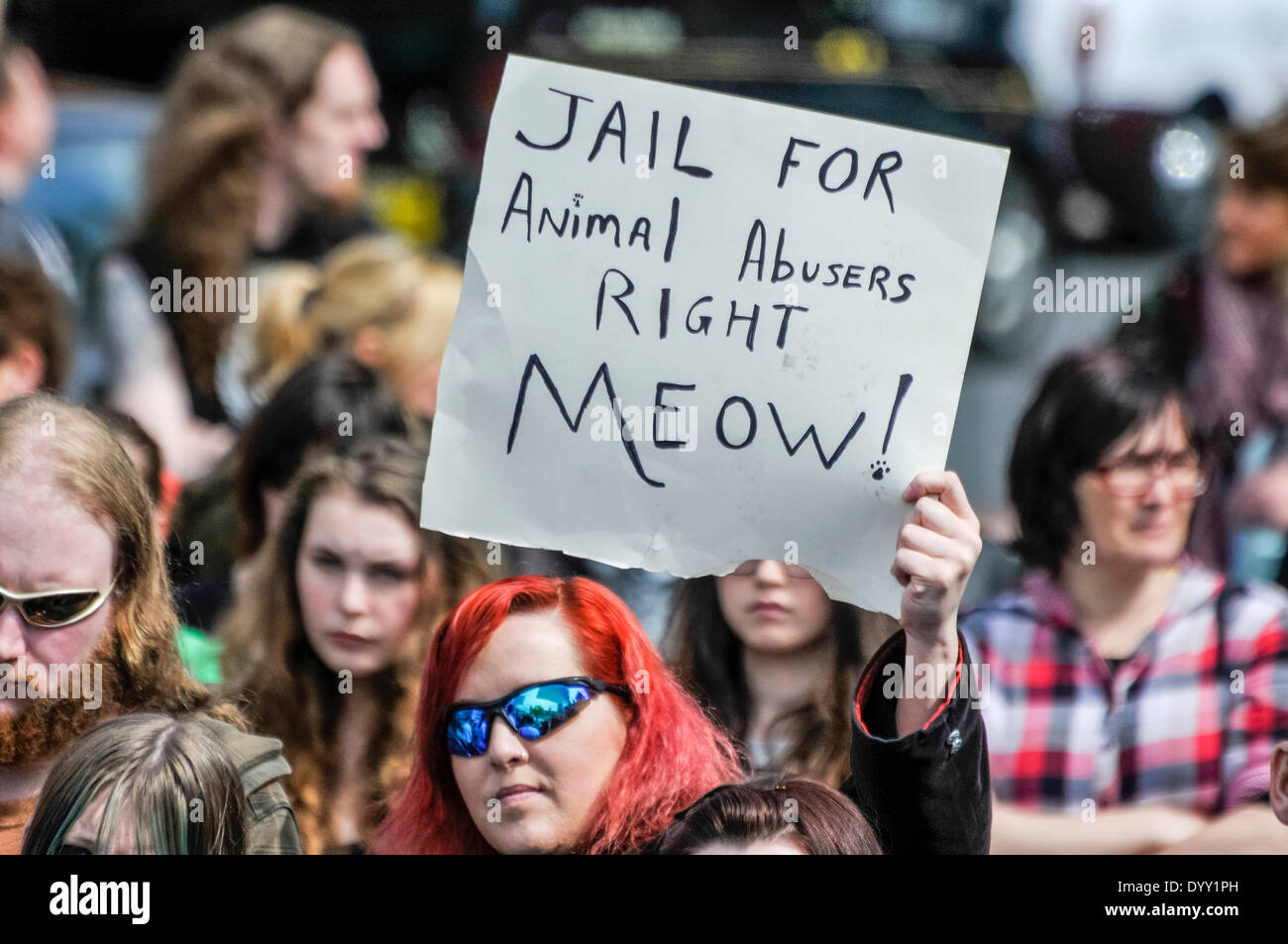 Belfast, Irlanda del Nord. 27 apr 2014 - Donna sorregge un poster a un anti-crudeltà nei confronti degli animali di rally, chiamando per la prigione per torturatori di animali. Credito: Stephen Barnes/Alamy Live News Foto Stock