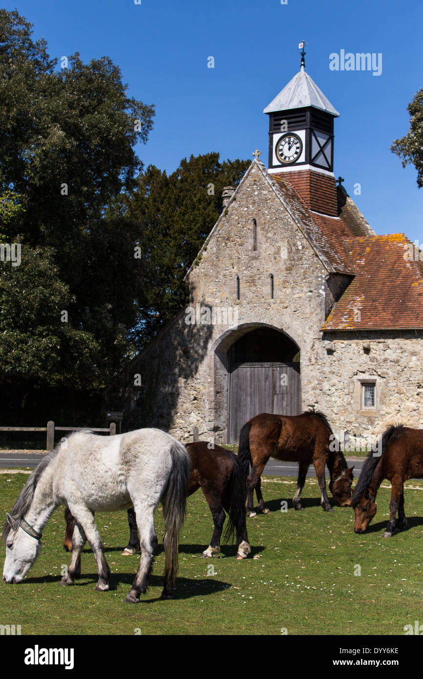 New Forest pony di pascolare su Beaulieu village comune. Ingresso alla casa di Beaulieu in background. Foto Stock New Forest pony di pascolare su Beaulieu village comune. Ingresso alla casa di Beaulieu in background. Foto Stock