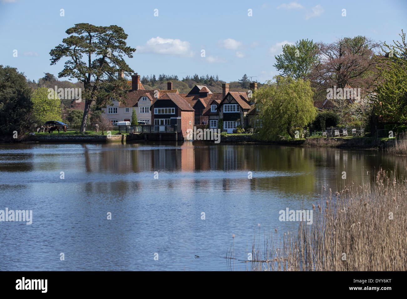 Beaulieu - è un piccolo villaggio situato a sud-est di bordo del New Forest National Park in Hampshire, Inghilterra Foto Stock Beaulieu - è un piccolo villaggio situato a sud-est di bordo del New Forest National Park in Hampshire, Inghilterra Foto Stock